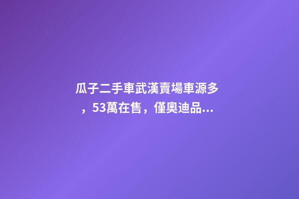 瓜子二手車武漢賣場車源多，5.3萬在售，僅奧迪品牌就有3000多輛